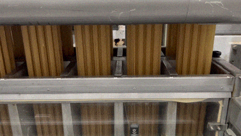 풀무원 음성 생면 공장에서 제조되고 있는 냉면. [변덕호 기자]