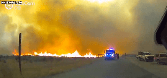 미국 캘리포니아 래슨 카운티에서 발생한 '로열턴 파이어' 산불 현장. [트위터 @TMFPD 캡처]