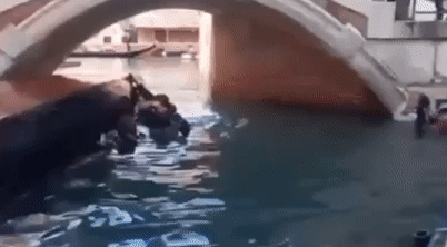 [이미지출처=사회관계망서비스 '엑스']