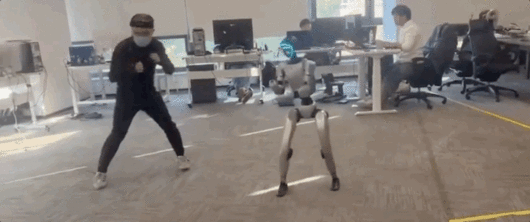 영상 속 로봇은 옆에 선 사람의 동작을 실시간으로 모방하며 스텝을 밟고 주먹과 발차기를 하는 모습을 보였다. 그러나 함께 훈련하던 남성이 로봇 옆에서 비스듬히 발차기 동작을 하자, 로봇이 이를 그대로 따라서 하다 남성의 주요 부위를 가격했다. SNS