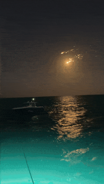 출처=조나선 노크로스 계정