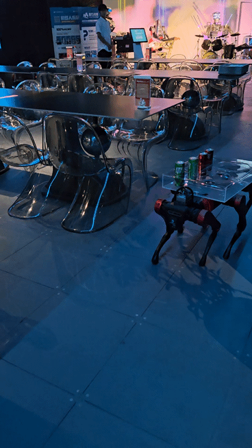 중국 베이징 외좡의 로봇 전문 매장 옆 로봇 레스토랑에서 로봇 개가 음료수를 나르고 있다. (영상=이데일리 이명철 특파원)