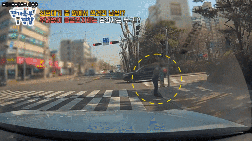 22일 경찰청은 경기 고양시 일산동구의 한 횡단보도에서 갑자기 쓰러진 남성을 살린 운전자의 영상을 공개했다. /유튜브