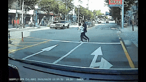 경찰 제지 무시한 무단횡단男…알고 보니 96억원 사기 수배자[서울경찰청 기동순찰대 제공. 재판매 및 DB 금지]