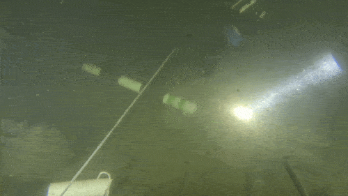 두개골 발견 당시 영상[김경수·김수은씨 제공. 재판매 및 DB 금지]