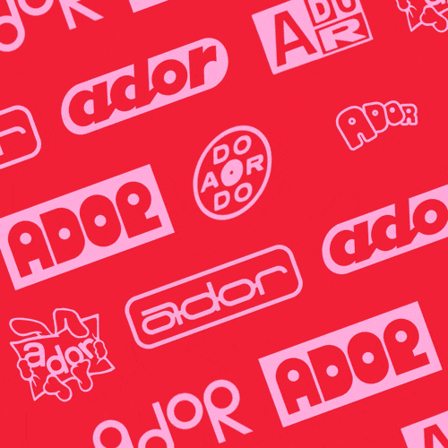 스타데일리뉴스