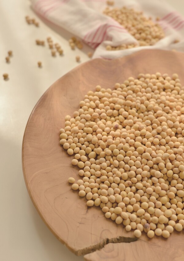 스타데일리뉴스