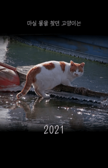 유튜브 채널 ‘5275 오이칠오’ 갈무리