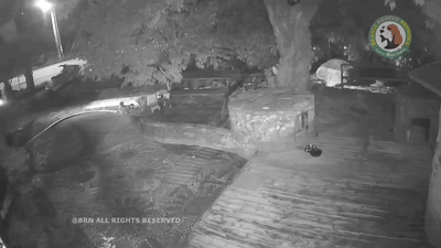 18일 비글구조네트워크가 SNS에 공개한 범행 당시 CCTV 영상. 비글구조네트워크 인스타그램 캡처