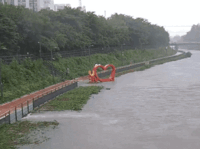 13일 한 네티즌은 폭우에 서울 강북구 우이천 조형물이 떠내려가는 모습이라며 영상을 올렸다. X(옛 트위터) @serinepi 캡처