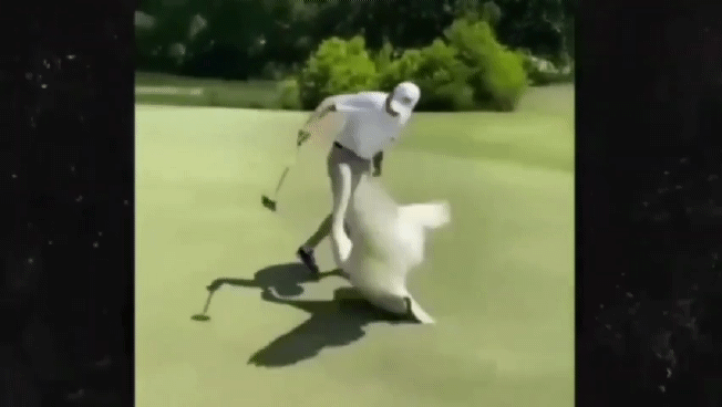 [Watch 유튜브 영상 캡처]