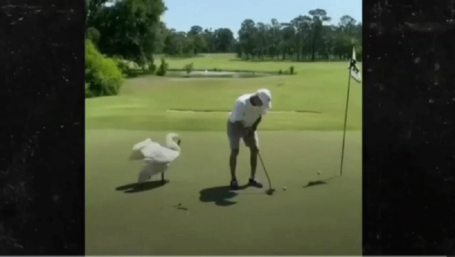 [Watch 유튜브 영상 캡처]