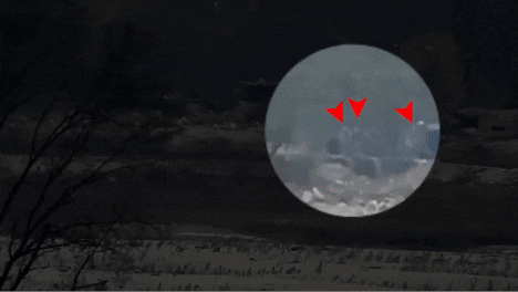 저격 영상 [X(옛 트위터)]