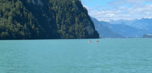 [노홍철 유튜브]