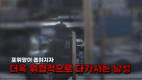 헤럴드경제