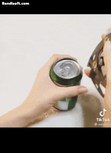 한심한 표정으로 반응을 보여 인기를 끌던 카비 라메의 틱톡 영상들. [유튜브 갈무리]