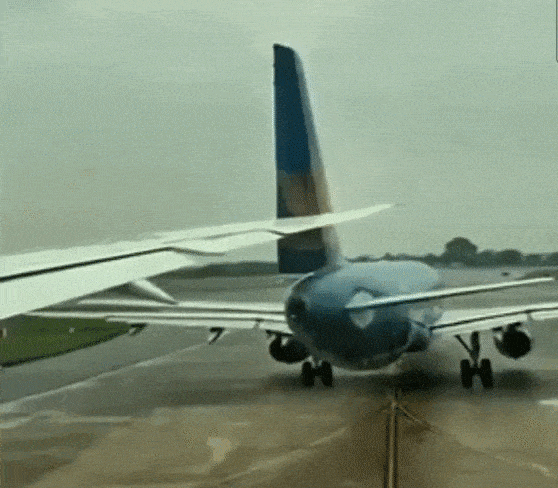 [엑스(X·옛 트위터)]