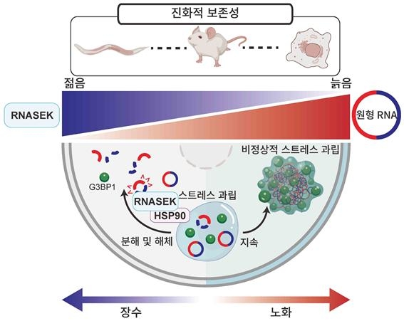 헤럴드경제