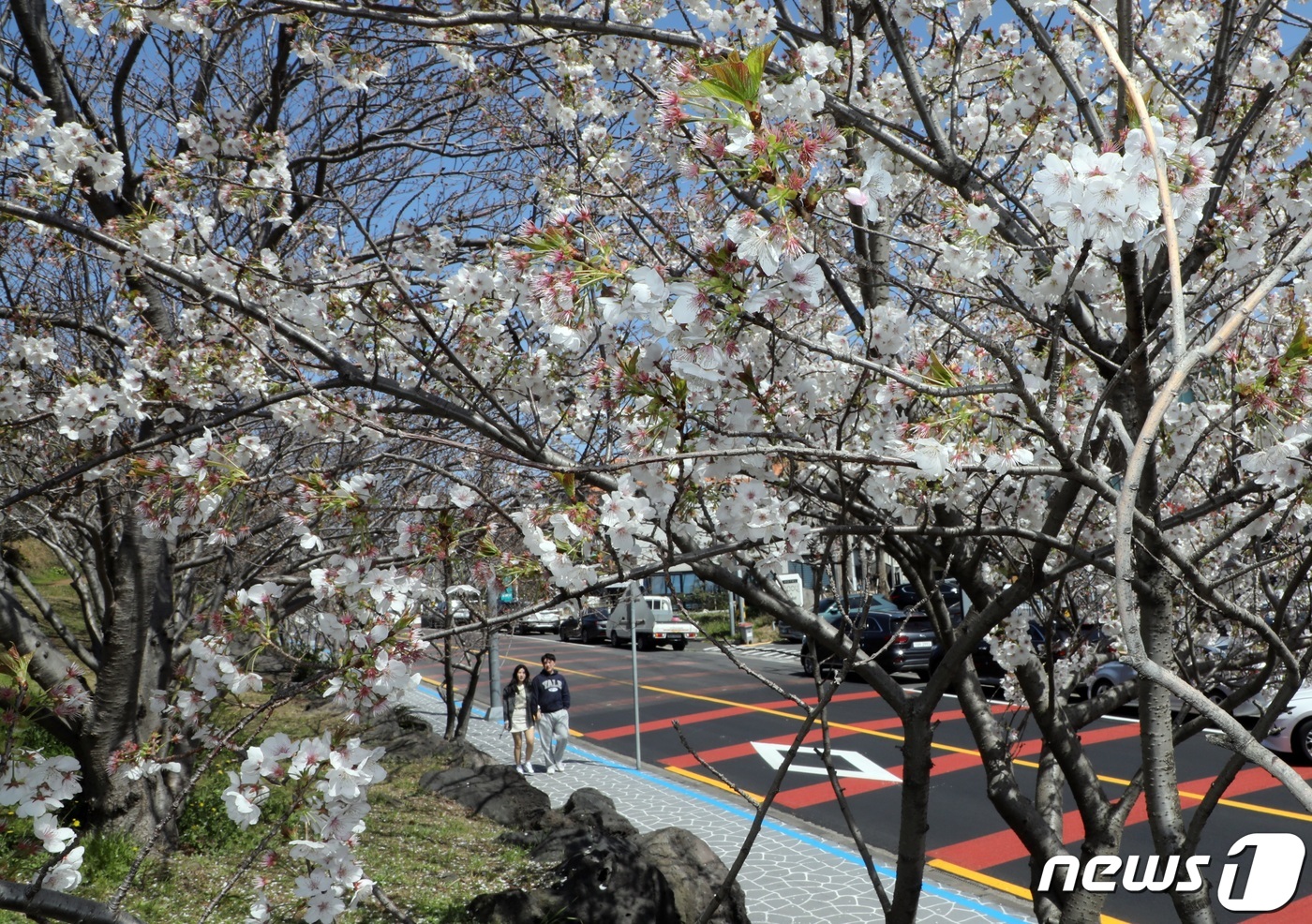 뉴스1
