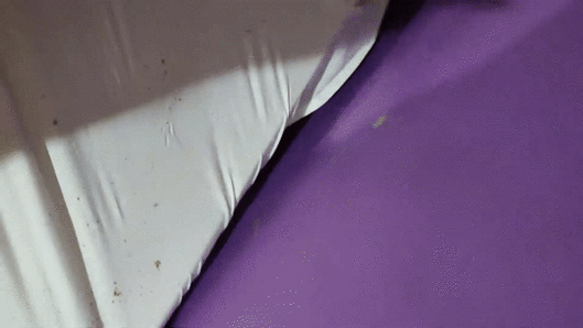 ('보배드림' 갈무리)