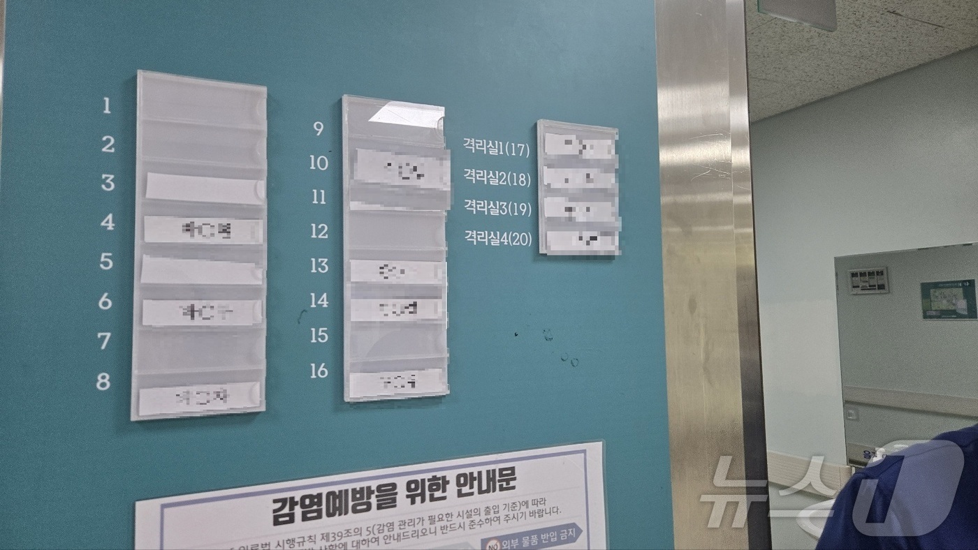 뉴스1