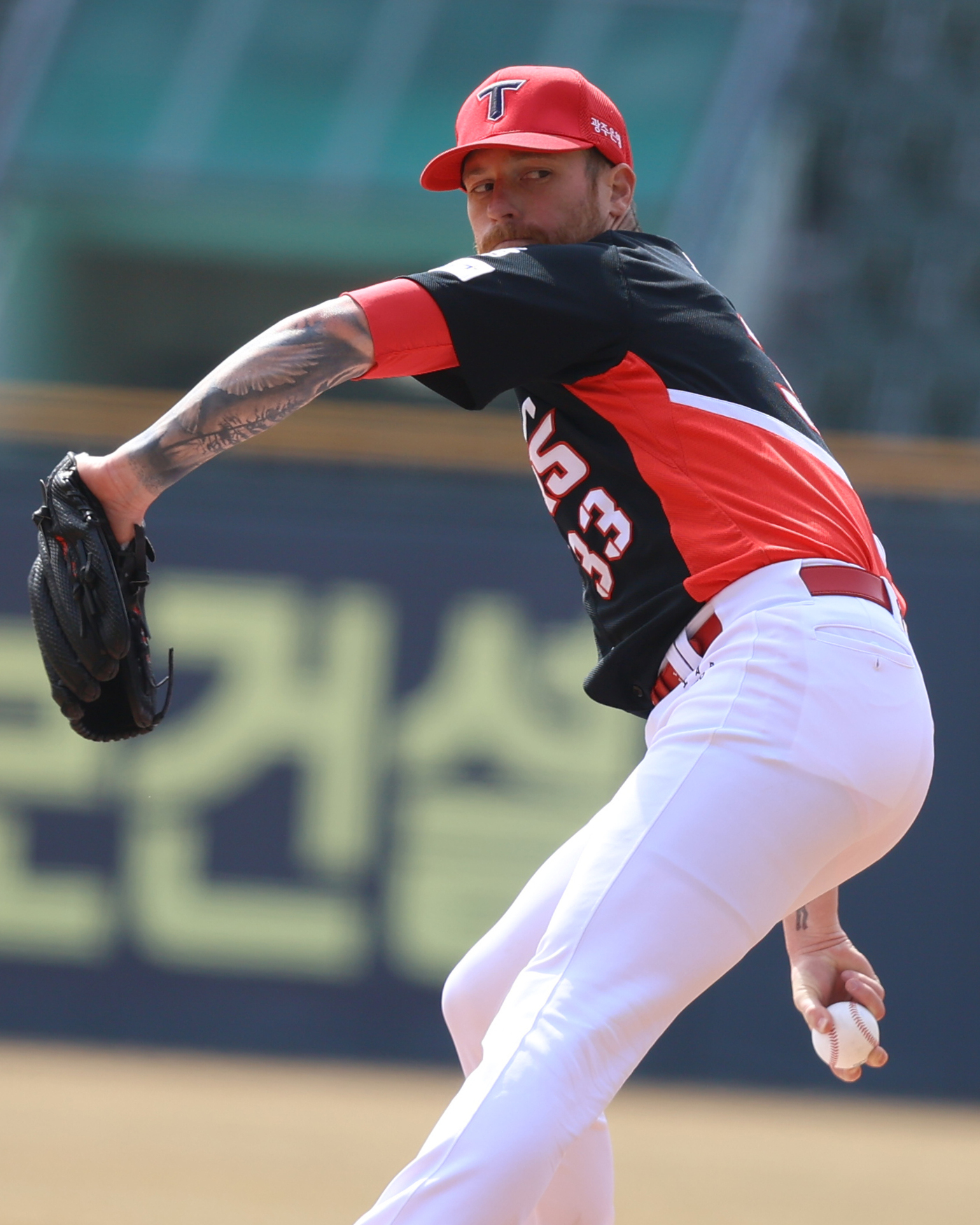 뉴스1