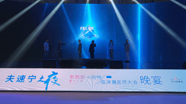 한중일 수의사들이 아시아고양이수의사회 설립을 알리고 있다. ⓒ 뉴스1