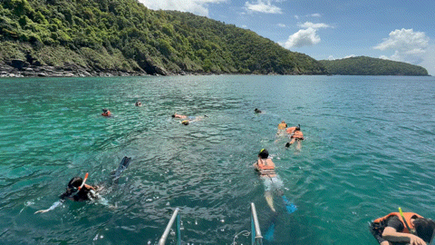 클럽메드푸껫의 액티비티 중 하나인 스노클링이 진행되는 모습. ⓒ 뉴스1 김형준 기자