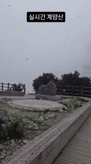 (인스타그램 갈무리)