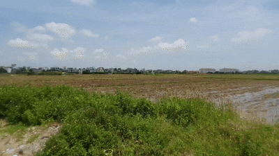 베트남 끼엔장 신도시 개발 예정 부지.2025.7.18/뉴스1 ⓒ News1 조용훈 기자