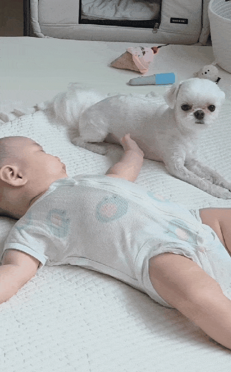 항상 아기 곁을 지키는 반려견 이삭이(인스타그램 rlfrnfma 제공) ⓒ 뉴스1