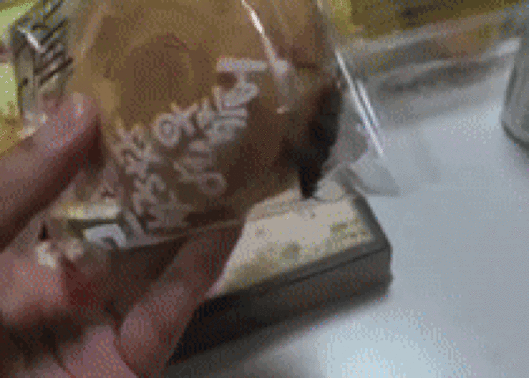 (피해자가 공개한 중국의 유명 제과 브랜드 제품에서 발견된 바퀴벌레. 'X' 갈무리)