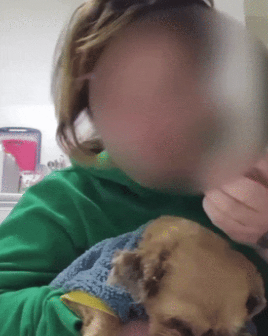 틱톡커가 자신이 키우는 강아지를 학대하는 모습. (SNS 갈무리)