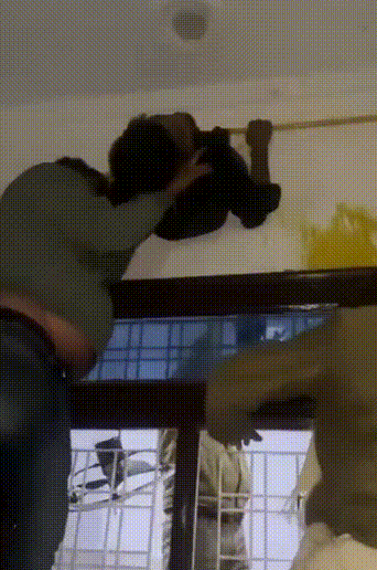 (소셜미디어 엑스 @gharkekalesh)