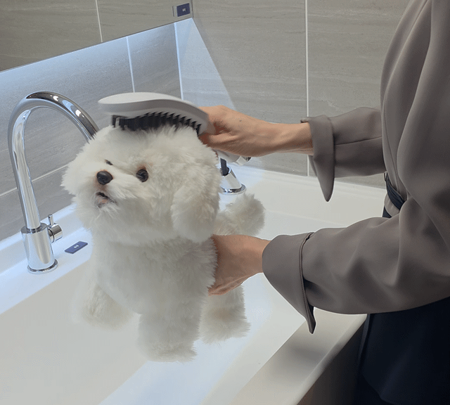 [서울=뉴스핌] 송현도 기자 = 드파인연희에는 라이프스타일 맞춤형 유상 옵션인 '펫테리어(Pet+Interior)'가 적용된다. 사진은 반려동물 전용 샤워기를 통해 산책 후 발을 씻기거나 목욕을 시키는 것을 시연하는 모습. 2026.01.16 dosong@newspim.com