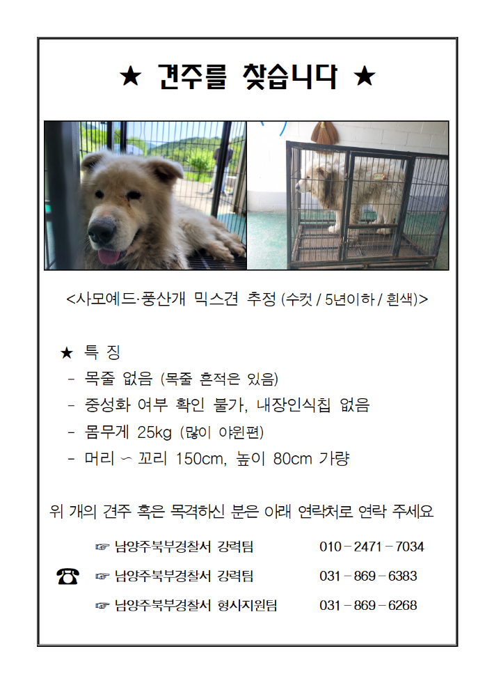 남양주 살인견 안락사' 논란…전문가·동물보호단체 반응은? 남양주 살인견 안락사' 논란…전문가·동물보호단체 반응은?