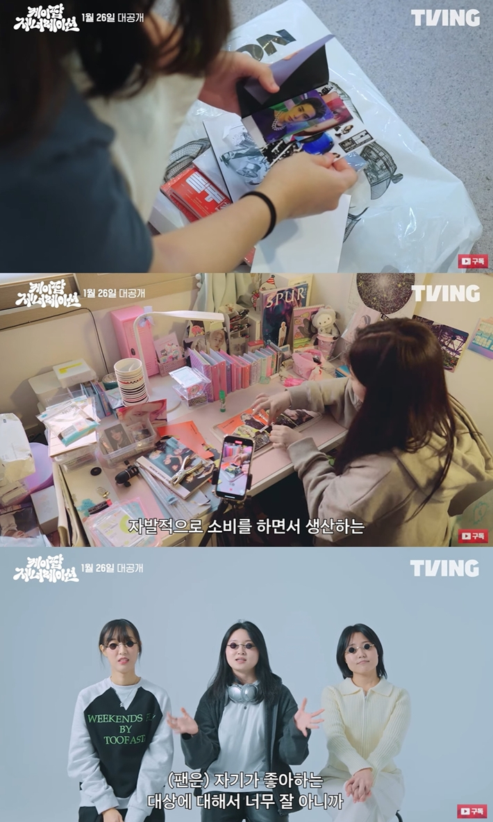 노컷뉴스