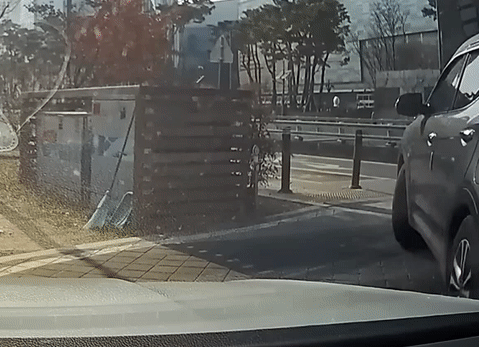 동아일보