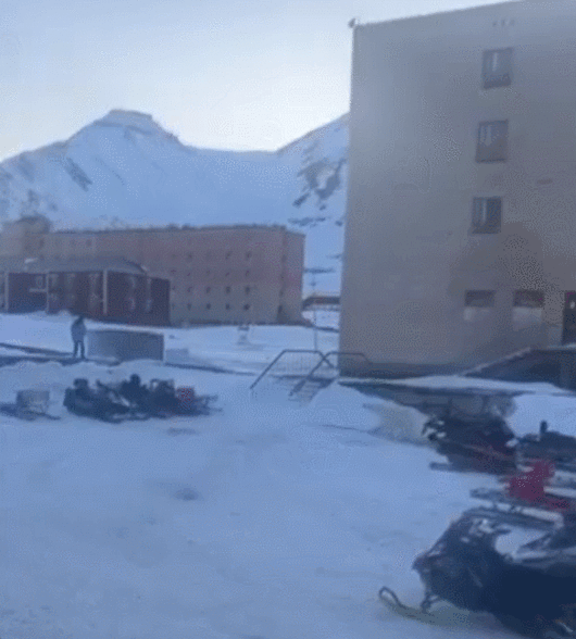 북극곰을 피해 스노모빌을 타고 달아나는 남성. X(트위터) 캡처