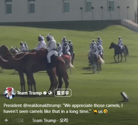 팀트럼프 페이스북 갈무리