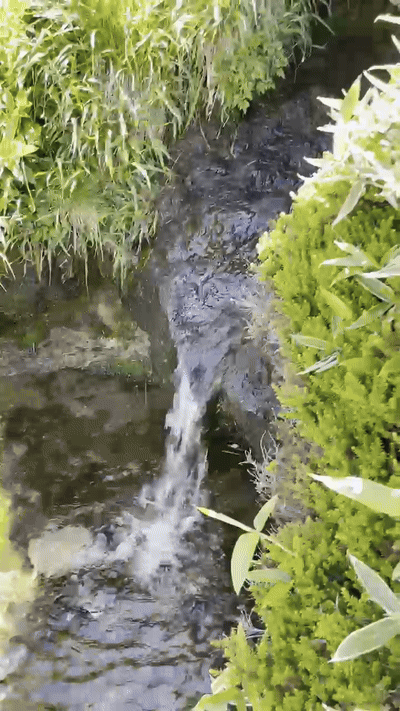 5일 한라산 백록샘에서 시원한 물줄기가 흐르고 있다. 서귀포=송은범 기자 seb1119@donga.com