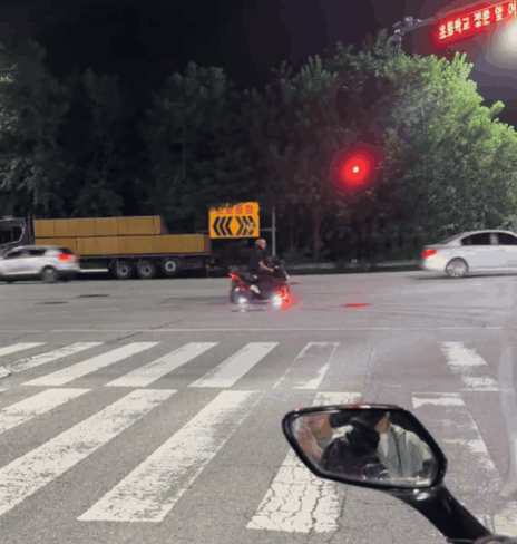 청소년 범죄는 충동성과 집단성이 특징으로, 친구들과 몰려 장난처럼 행동하다 실제 범죄로 이어지는 경우가 많다. 전문가들은 법적 처벌보다 맞춤형 교화 프로그램과 조기 대응이 중요하다고 강조했다. (영상=틱톡)