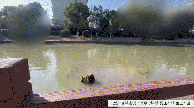 영상 출처 쿠팡