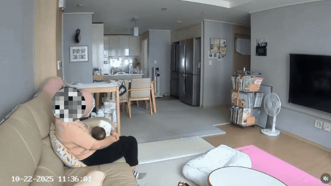 보배드림 갈무리