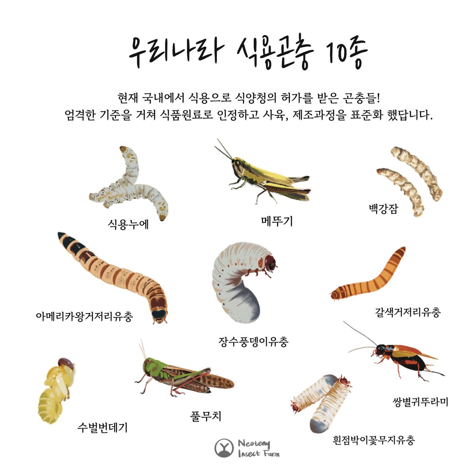 동아일보
