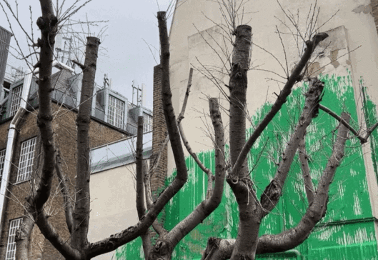 벽에 뿌려진 초록색 페인트와 나무가 겹쳐, 앙상했던 나무에 푸른 잎이 돋아난 것처럼 보인다. 벽에는 분무기를 든 사람의 모습도 새겨져 있다.〈영상=로이터통신〉