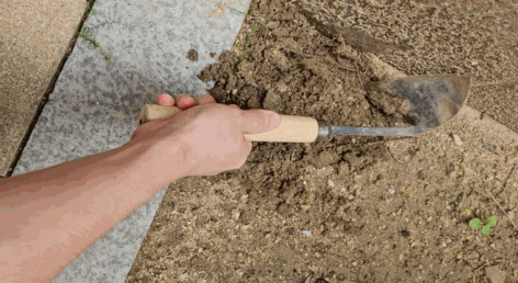 아파트 단지 등에 은닉된 마약류 압수 현장. 〈출처=서울중앙지검〉