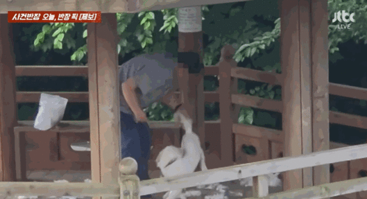 〈영상=JTBC '사건반장'〉