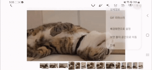 갤럭시S23부터 적용된 원UI 5.1에서는 GIF 리마스터 기능도 도입됐다. 보정 후 고양이의 털이 더 또렷하게 바뀌었다./영상=백유진 기자 byj@