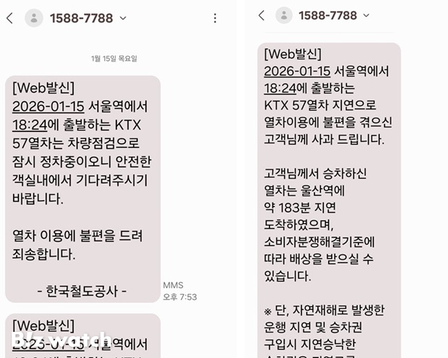 비즈워치